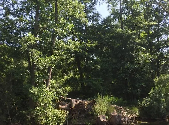 Herrenhaus Hohewarte Lübeck