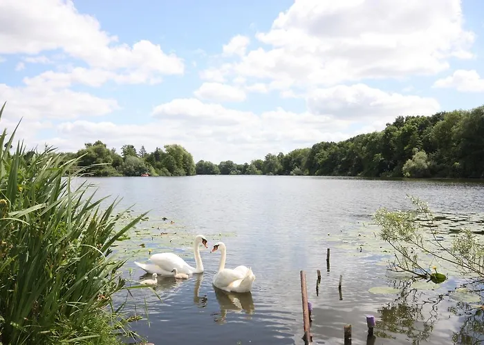 Appartement Herrenhaus Hohewarte *