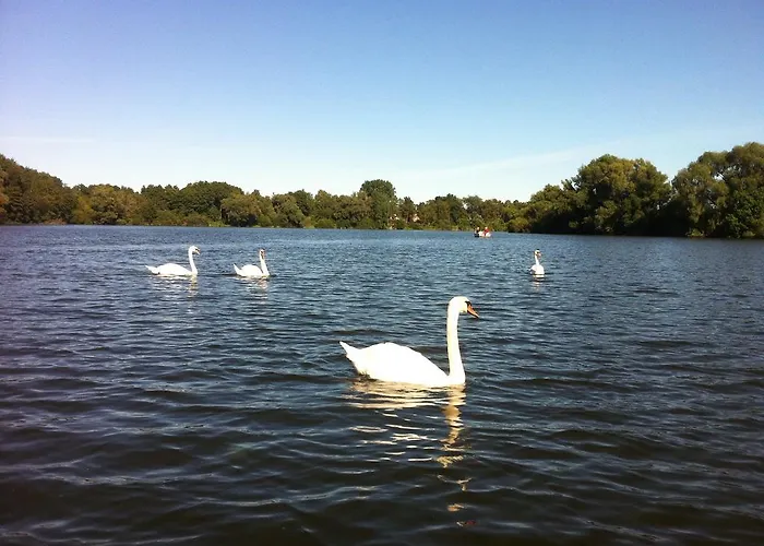 Herrenhaus Hohewarte Appartement Lübeck